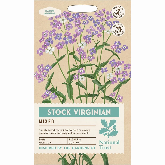 Stock Night Scented Virginian Mixed - image 1