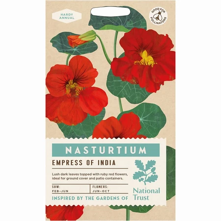 Nasturtium Empress Of India - image 1