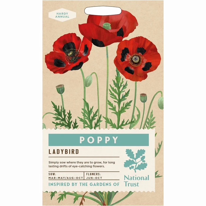 Poppy Ladybird - image 1
