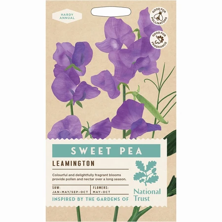 Sweet Pea Leamington - image 1