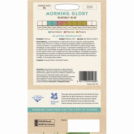 Morning Glory Heavenly Blue - image 2