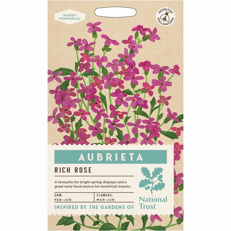 Aubrieta Rich Rose - image 1