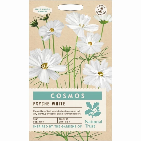 Cosmos Psyche White - image 1