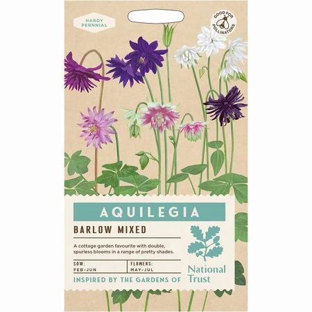 Aquilegia Barlow Mixed - image 1