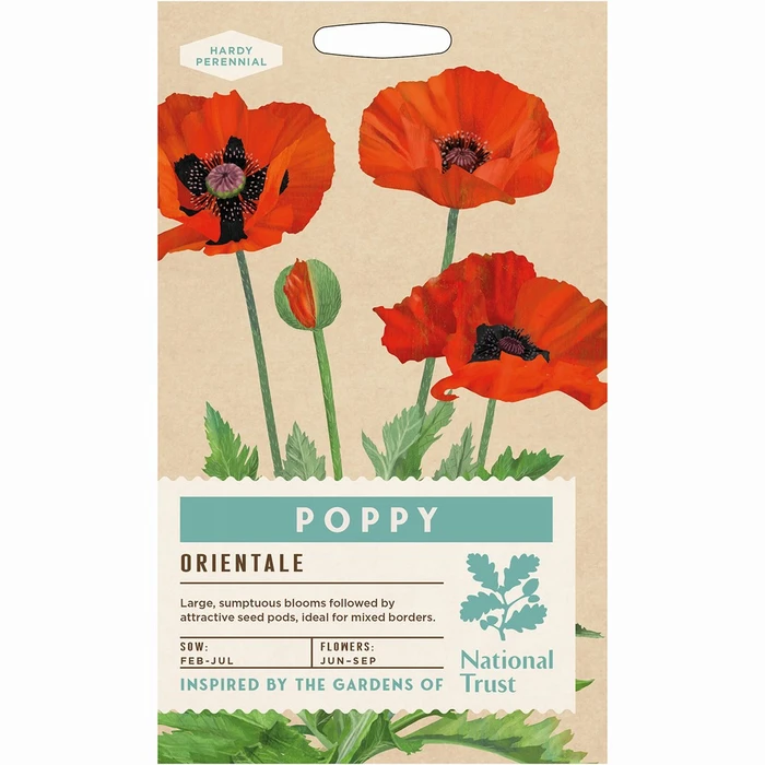 Poppy Orientale - image 1