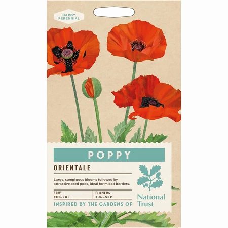 Poppy Orientale - image 1