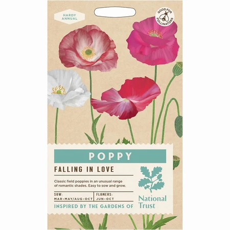 Poppy Falling In Love - image 1