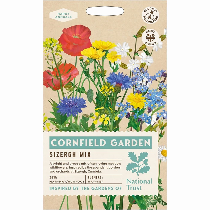 Wildflower Cornfield - image 1