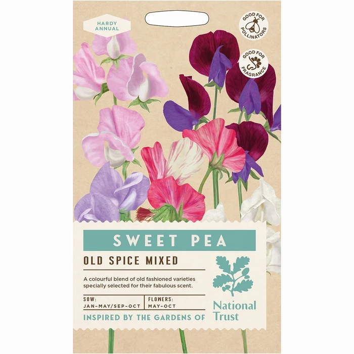 Sweet Pea Old Spice Mixed - image 1