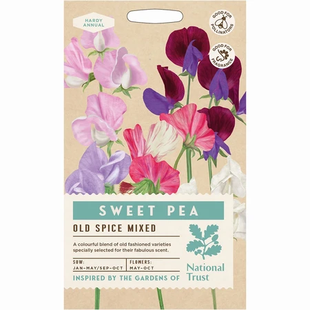 Sweet Pea Old Spice Mixed - image 1