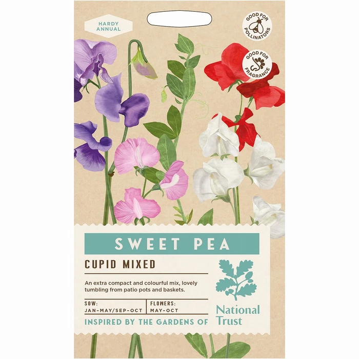 Sweet Pea Cupid Mixed - image 1