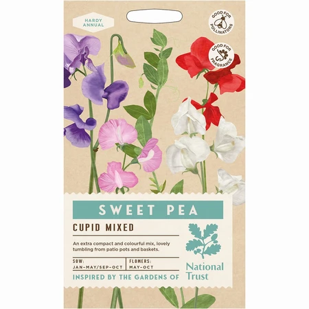 Sweet Pea Cupid Mixed - image 1