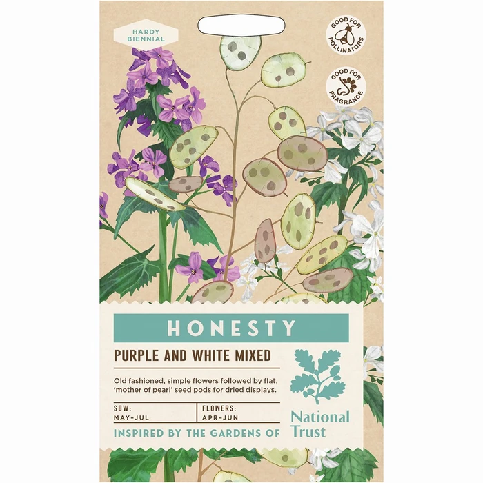 Honesty Purple And White Mixed - image 1