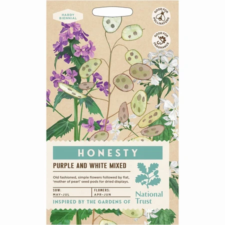 Honesty Purple And White Mixed - image 1