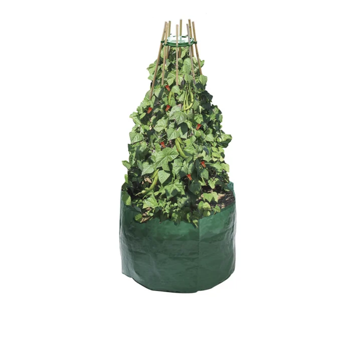 Bean And Pea Bag+Free Bean And Pea Ring - image 2