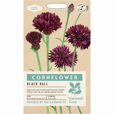 Cornflower Black Ball - image 1