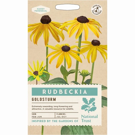 Rudbeckia Goldsturm - image 1