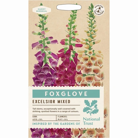 Foxglove Excelsior Mixed - image 1