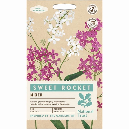Sweet Rocket Mixed - image 1