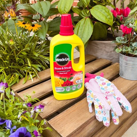 Miracle Gro Rose + Shrub Concentrate - image 4