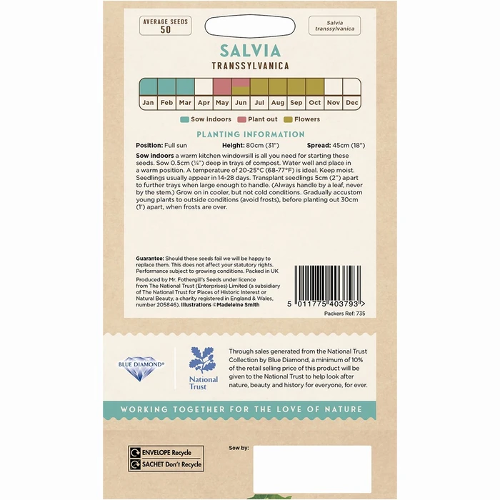 Salvia Transsylvanica - image 2