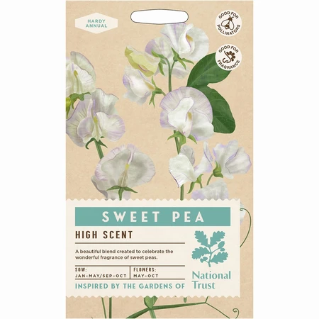 Sweet Pea High Scent - image 1