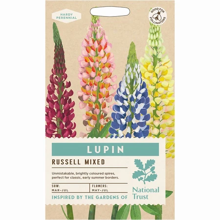 Lupin Russell Hybrids Mixed - image 1