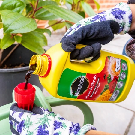 Miracle Gro Rose + Shrub Concentrate - image 3