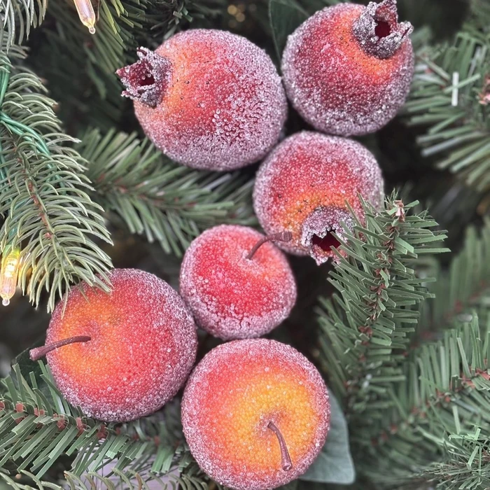 WD Beaded Fruit Pick 4Asst