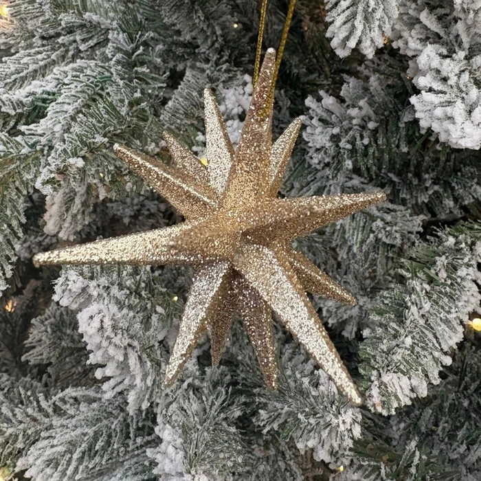 SW 3D Glitter Star Champagne