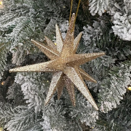 SW 3D Glitter Star Champagne