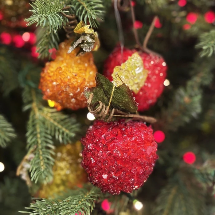 WD Acrylic Fruit 9Cm 6Asst