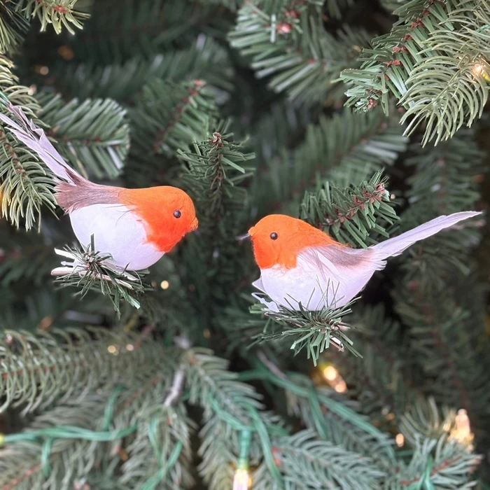 WD Robin On Clip 6Cm