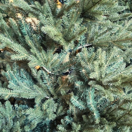 T28 Burnham 7Ft Xmas Tree - image 2