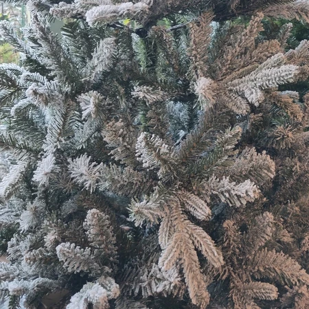 T44 Sherwood Fir Frost 5Ft Xmas Tree - image 2