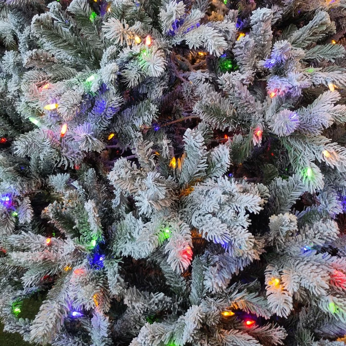 Snowy Delamere 6ft Pre Lit - image 3