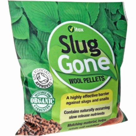 Slug Gone