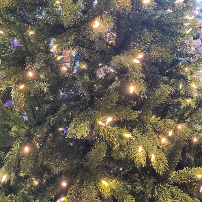 T62 Delamere Pre Lit 7ft Tree - image 7