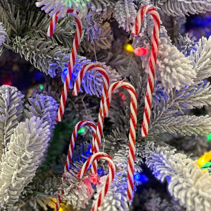 GB Candy Cane Tubs Red And White