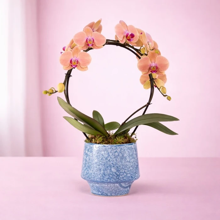 Jasmine Hoop in Hampshire Ceramic 12cm