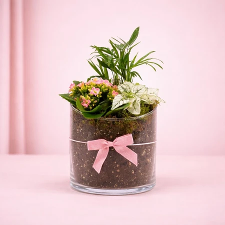 Glass Trio Planter 14cm