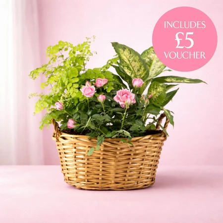 Mothers Day Gift Basket M