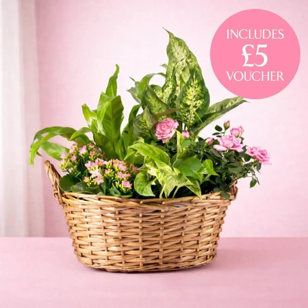 Mothers Day Gift Basket L