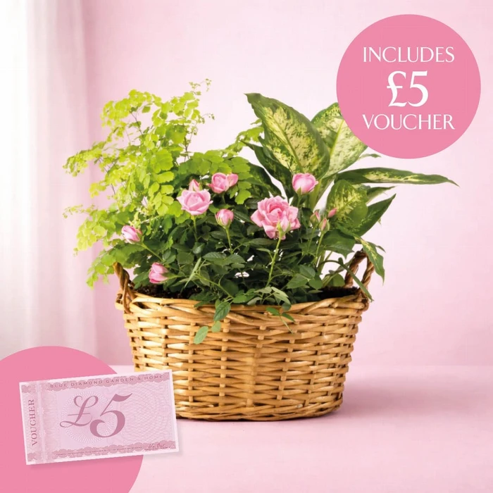 Mothers Day Gift Basket M