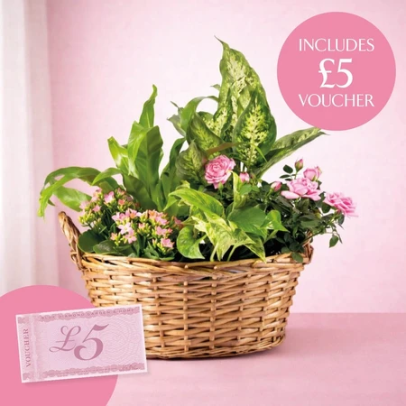 Mothers Day Gift Basket L