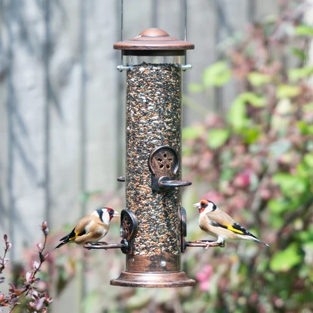 Bd Finch Blend + Nyger Feeder - image 2