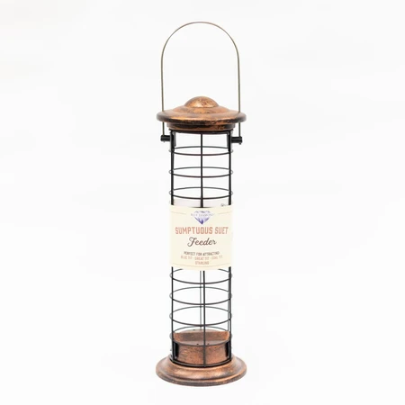 Bd Suet Feeder