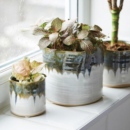 Storm Pot Cover Green 9cm