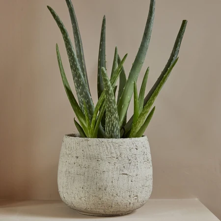 Surat Pot 17CM