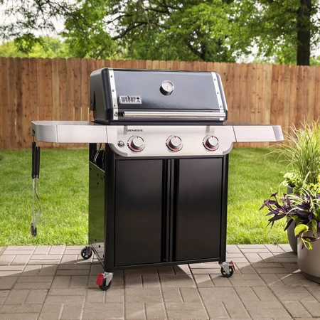 Weber Genesis E 315